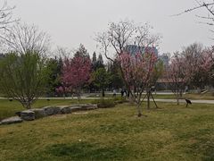 -西海子公园