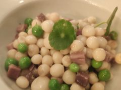 -西郊5号·Maggie 5