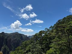 -黄山排云型旅酒店餐厅