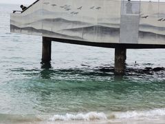 -大梅沙海滨公园