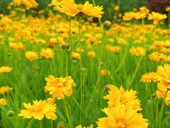-白塘生态植物园
