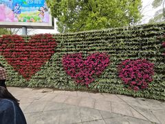 -南山植物园