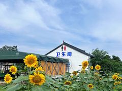 -四明湖