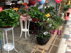 -秦美花卉(天朗·莱茵小城2期店)