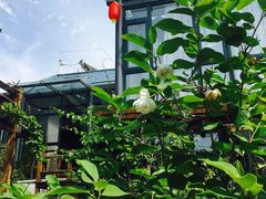 -慢丽江·云南野生菌土鸡锅(西山店)