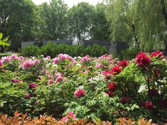 -洛阳市隋唐城遗址植物园
