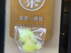 -茶是一枝花泡茶店