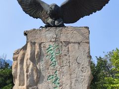 -北京鹫峰国家森林公园