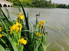 -昆山城市生态森林公园