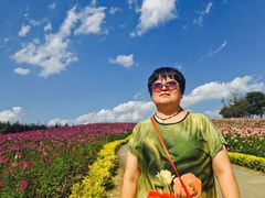 -北纬44度·金珠花海休闲农业旅游景区