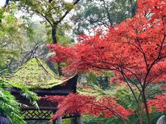 -岳麓山风景名胜区