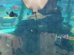 -鸿通城购物中心