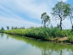 -泗洪洪泽湖湿地景区