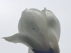 -房湖公园