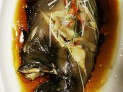 清蒸鸦片鱼-渔人码头(中南店)