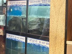 -舒来喜鱼锅(伊河路店)