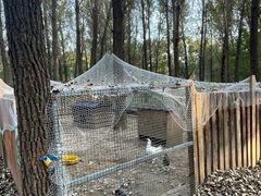 -林栖谷森林康养度假区