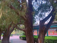 -北京市劳动人民文化宫(太庙)