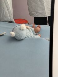 -玛瑞莎孕婴童摄影到家拍