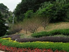 -金鸡山公园