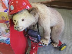 -小樽运河广场(運河プラザ)