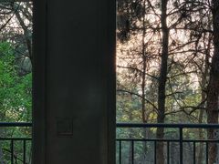 -铁山坪森林公园