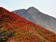 -丽泽山庄·生态怀柔菜·虹鳟鱼(红螺寺店)