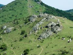 -大姆山草场