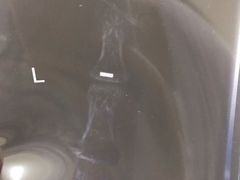 -上海仁爱医院