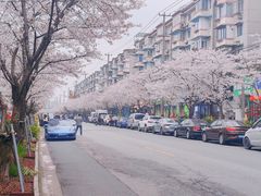 -永乐路-路侧停车场
