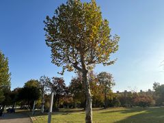 -同济大学(嘉定校区)