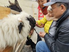 -HERRE·FARM 赫尔露营农场·团建聚会包场