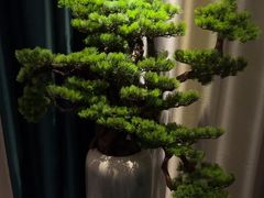 -和里合·颜愈SPA·Relax瑶浴·Massage(石厦店)