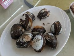 血蛤-红月湾海鲜饭店•沙滩海景(双月湾店)