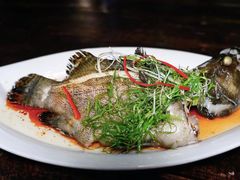 -道南書院·私房菜·早午茶·茶馆