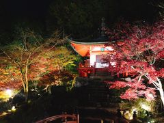 -醍醐寺