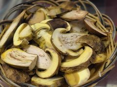 白葱菌-山菌美食苑(振兴路店)