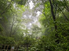 -五女山景区