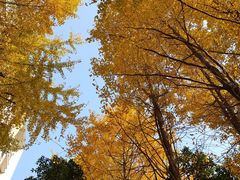 -杭州师范大学(下沙校区)