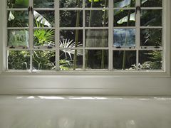 -胶囊画廊