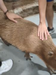 -Zoolung Zoolung动物主题公园(海信广场店)