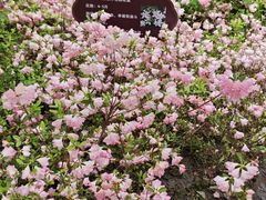 -临平公园(临平街道)