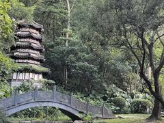 -深圳国际园林花卉博览园