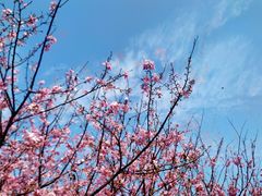 -福建鲤鱼洲酒店