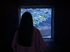 -秦皇岛新澳海底世界