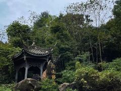 -凤栖山