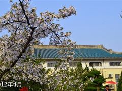 -武汉大学-樱园