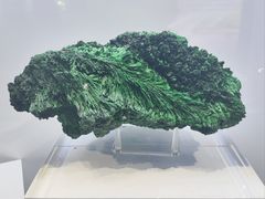 -中国地质大学逸夫博物馆