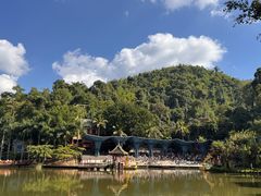 -西双版纳原始森林公园