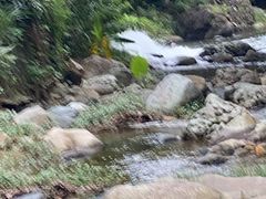 -广州市石门国家森林公园